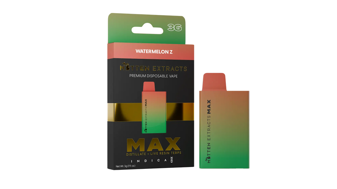 Watermelon Z MAX Disposable Vape