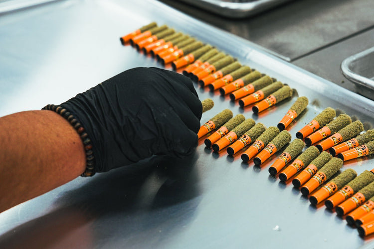 What Are Infused Pre-Rolls?