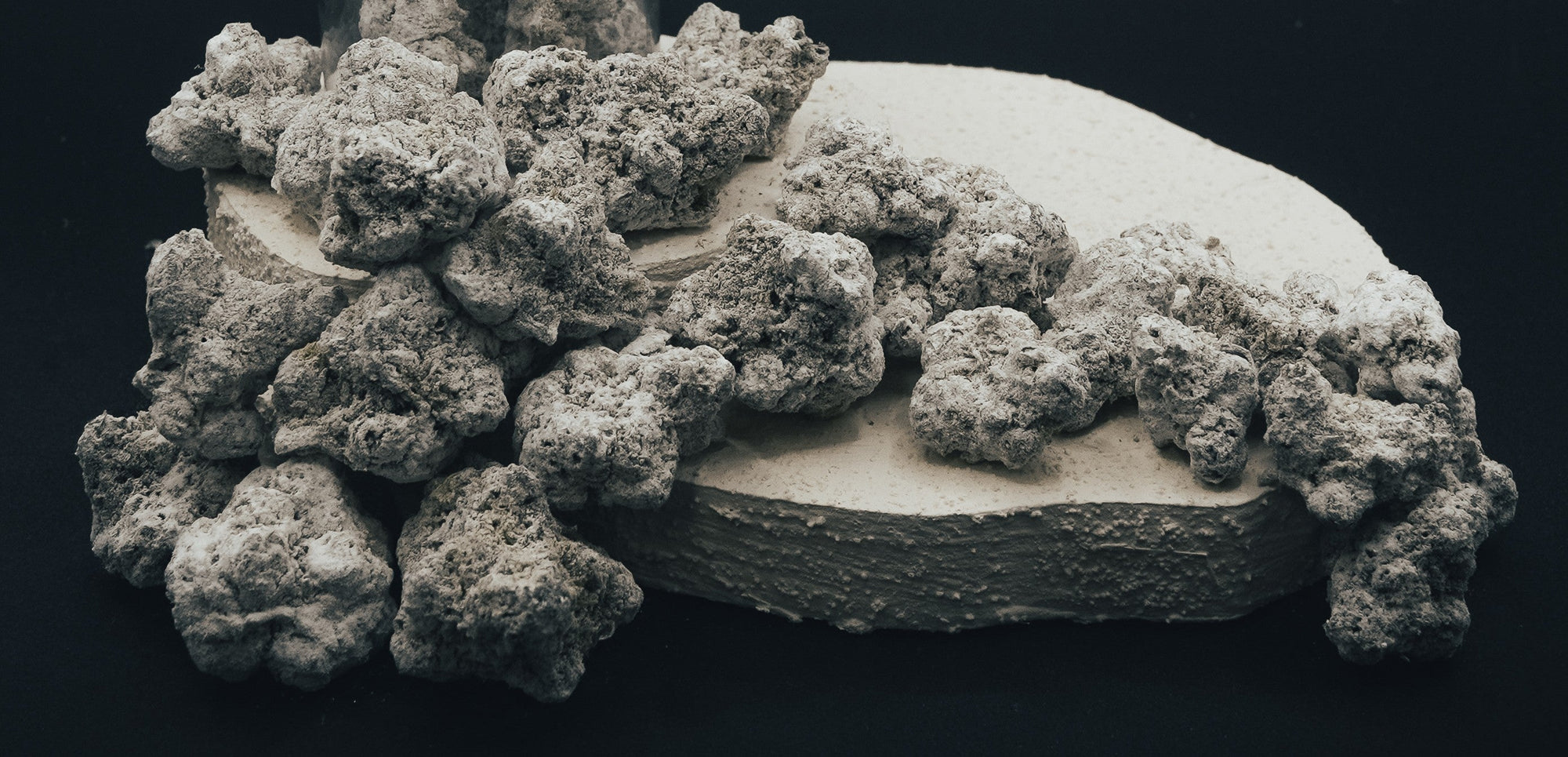 THCa Flower vs. THCa Snow Caps: What’s the Difference — and Which One’s Right for You