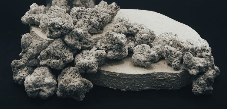 THCa Flower vs. THCa Snow Caps: What’s the Difference — and Which One’s Right for You